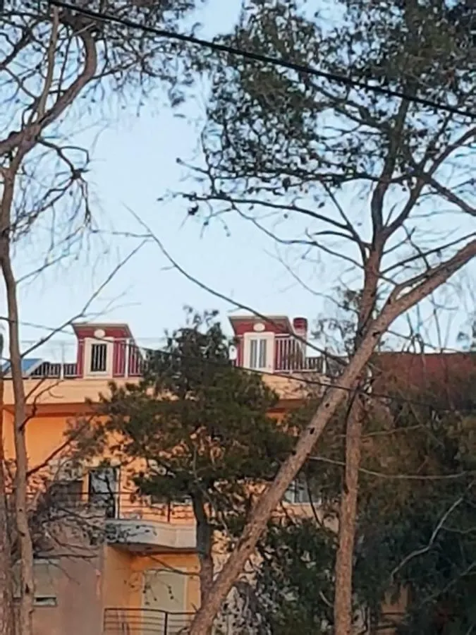 Delight Apartments Golem  0*, Golem (Tirana)
